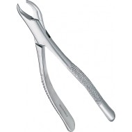 Extracting Forceps Adults 